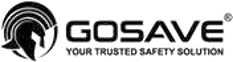 GOSAVE