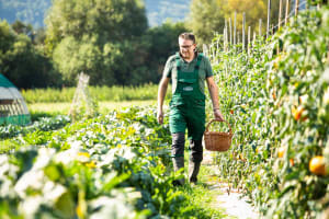 La Fattoria in Famiglia – i profumi dell’orto