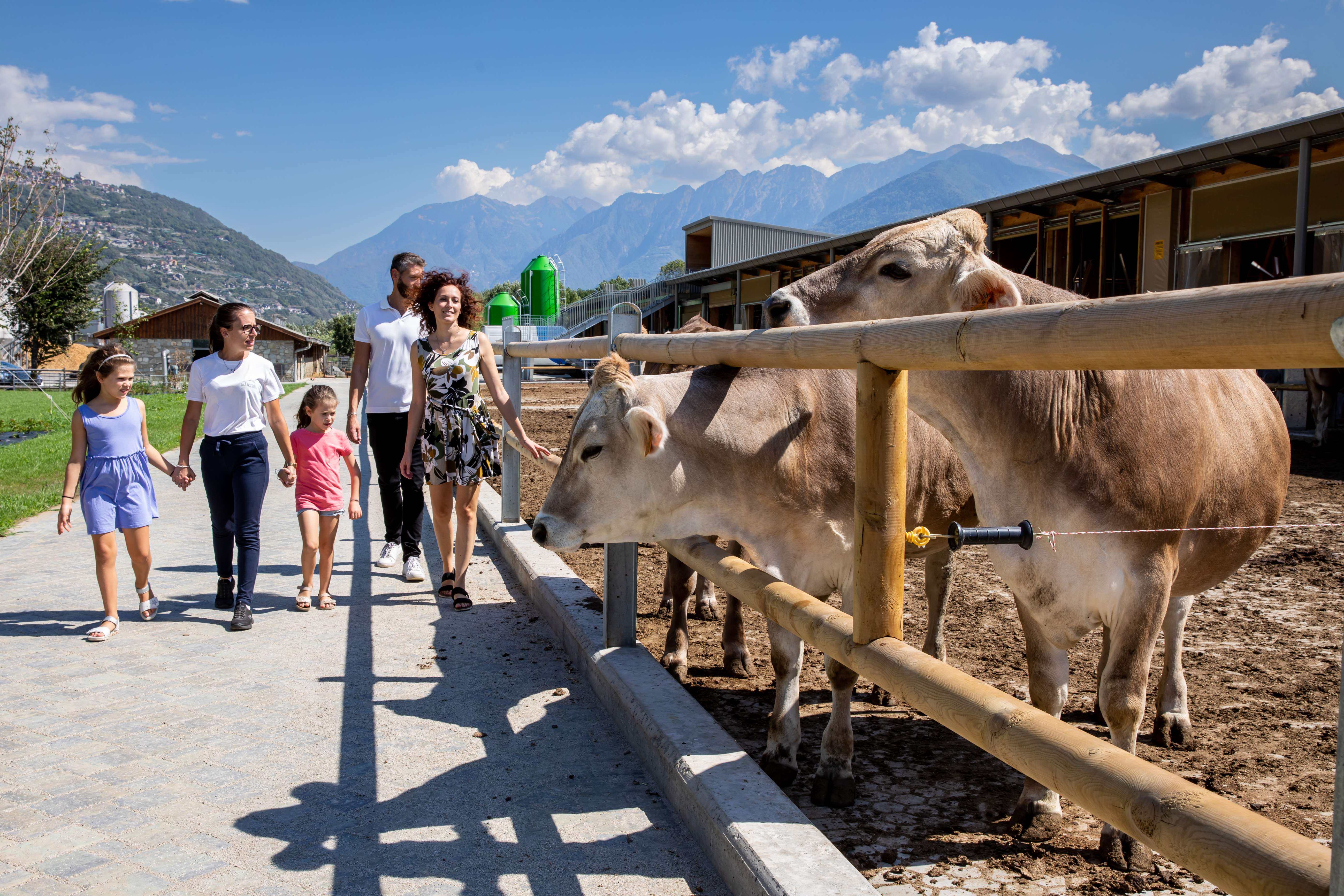 cesto verdure fresche - La Fiorida Agriturismo Valtellina Lago di Como