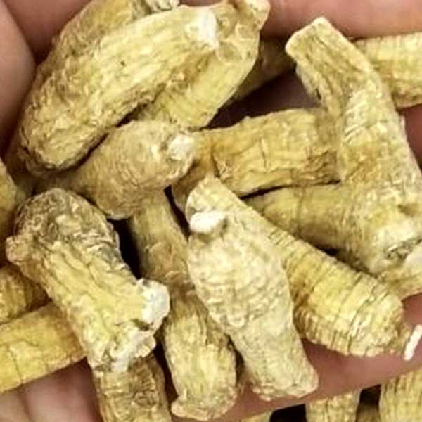 美國圓粒花旗參 - 150g