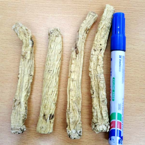 正宗一等紋原條黨蔘 - 600G