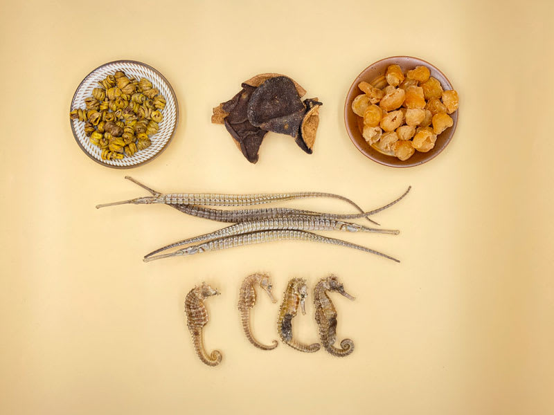 海龍海馬石斛湯