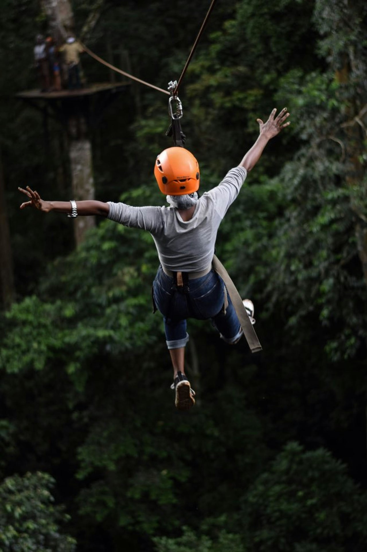 Flying Fox (Solo) image 3