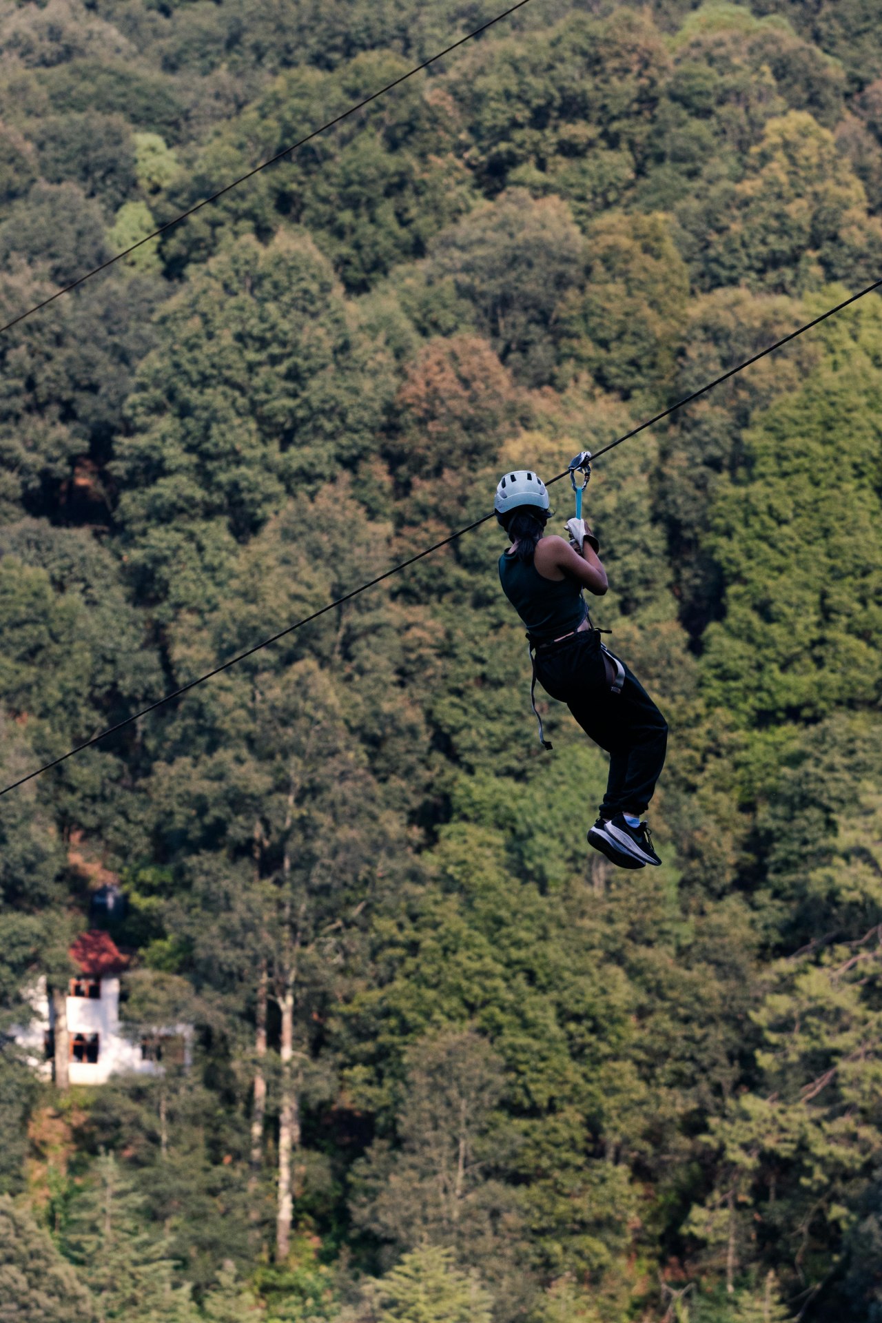Flying Fox (Solo) image 1