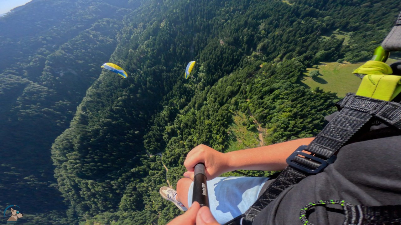 Fear of Flying: What Happens During a Paragliding Flight