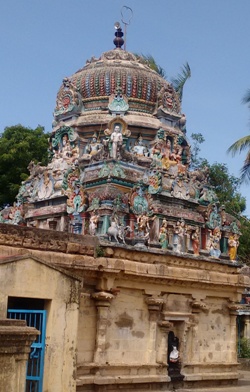Temple Gallery 1