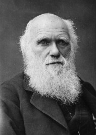 Charles Darwin nel 1881