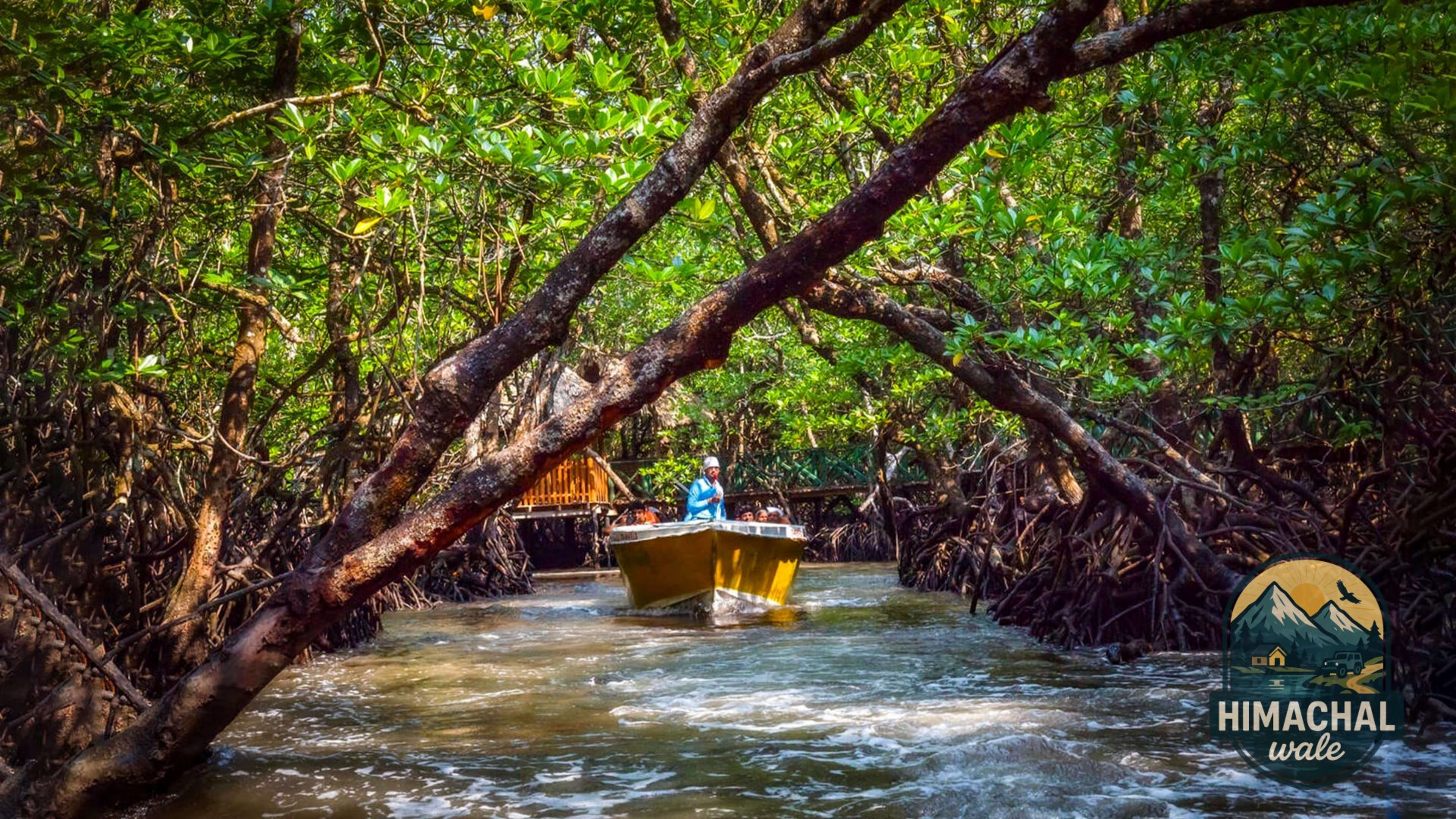 6 Days Andaman Tour Package With Neil