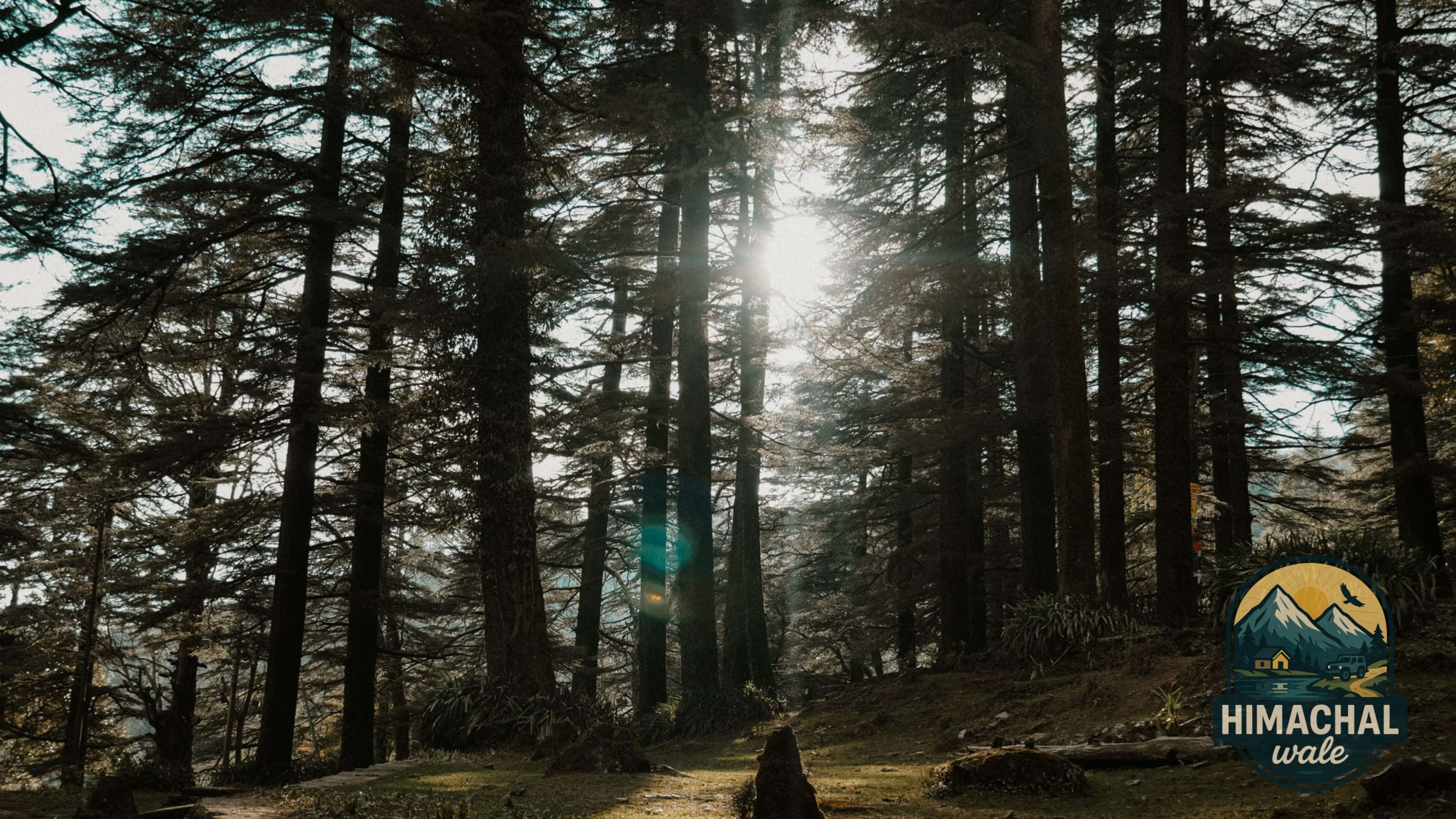 Chail Team Sports & Highland Cricket Offsite