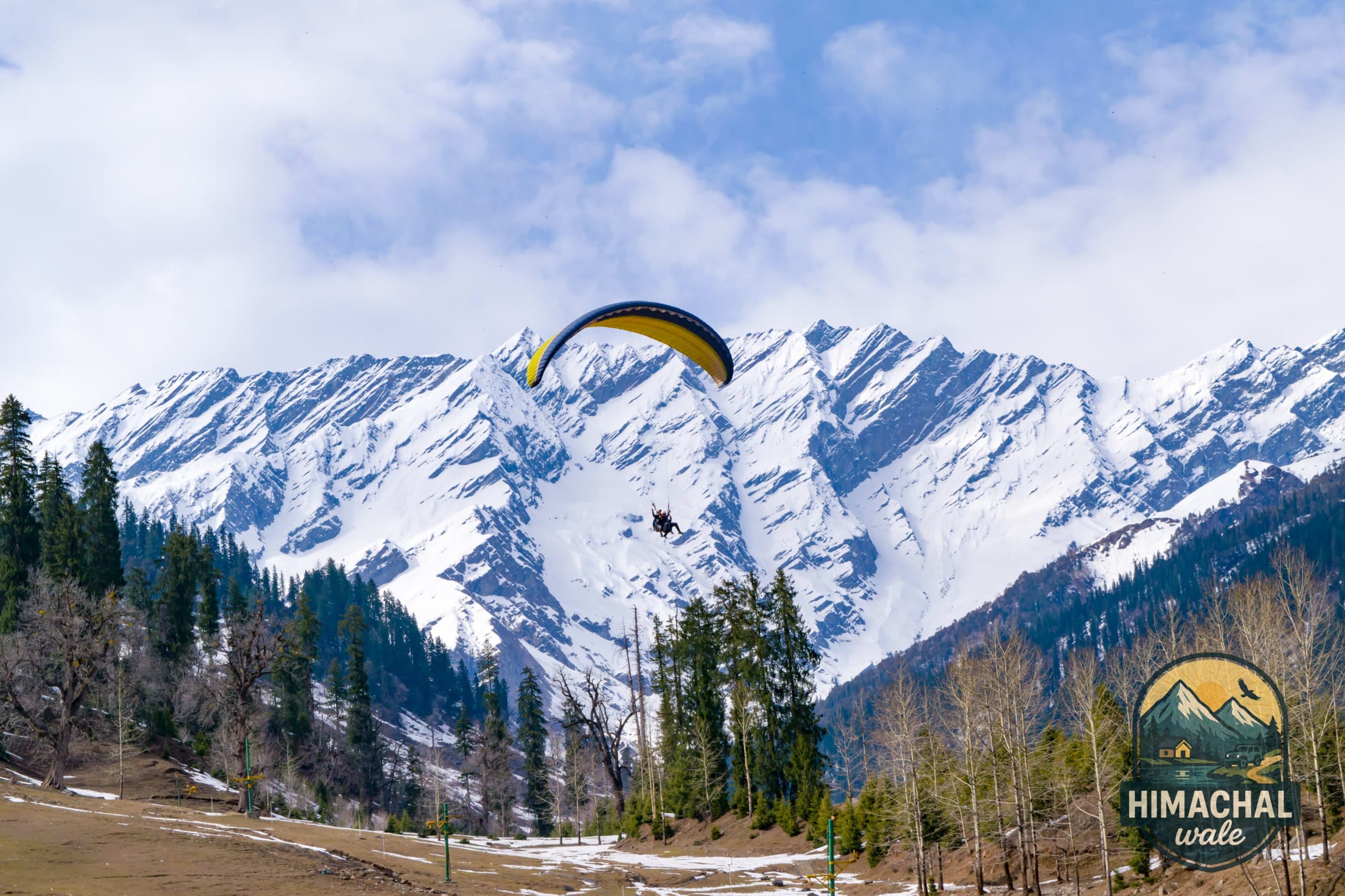 Snowy pine forest campsite in Solang Valley