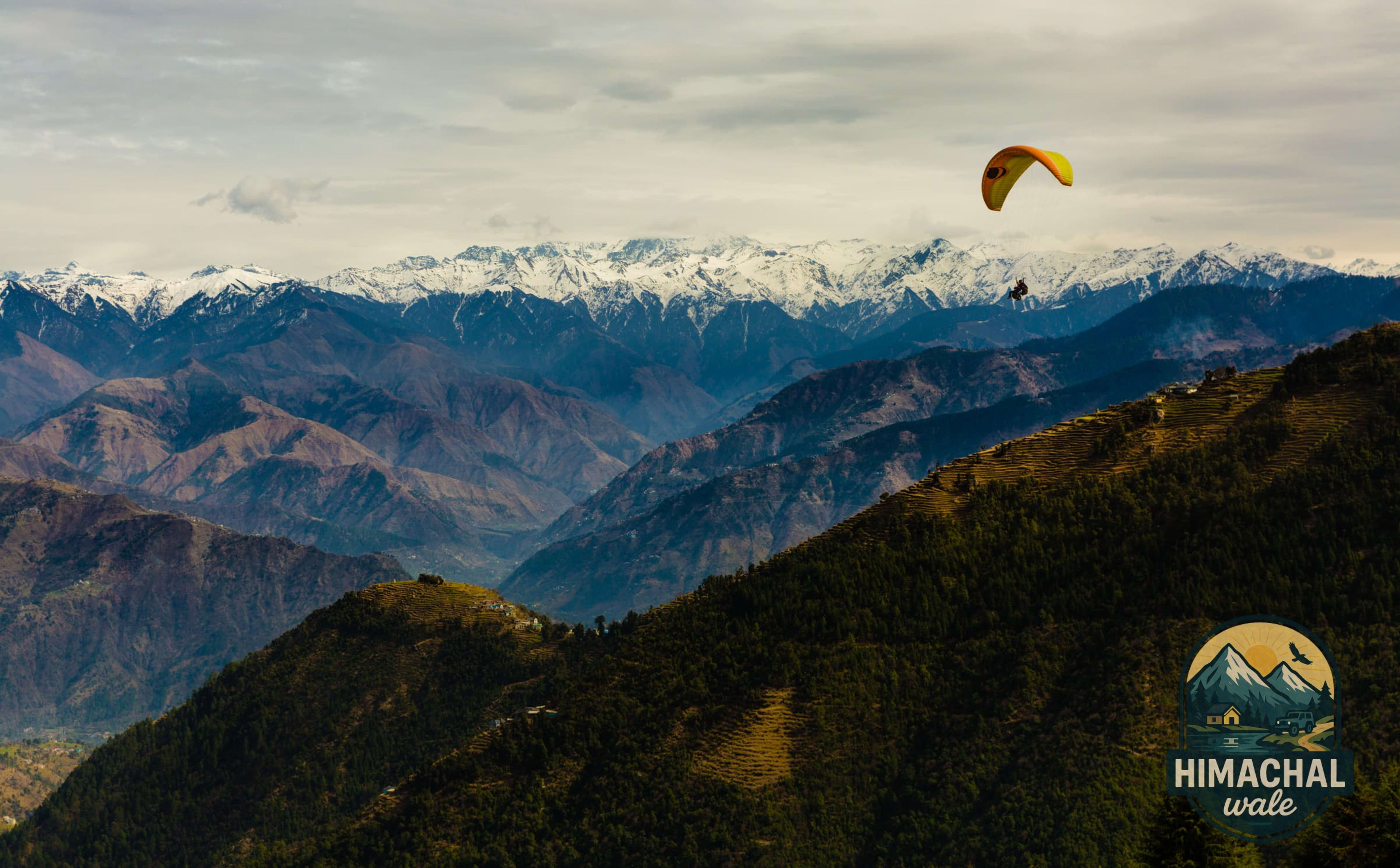 Kalpa Apple Harvest Experience