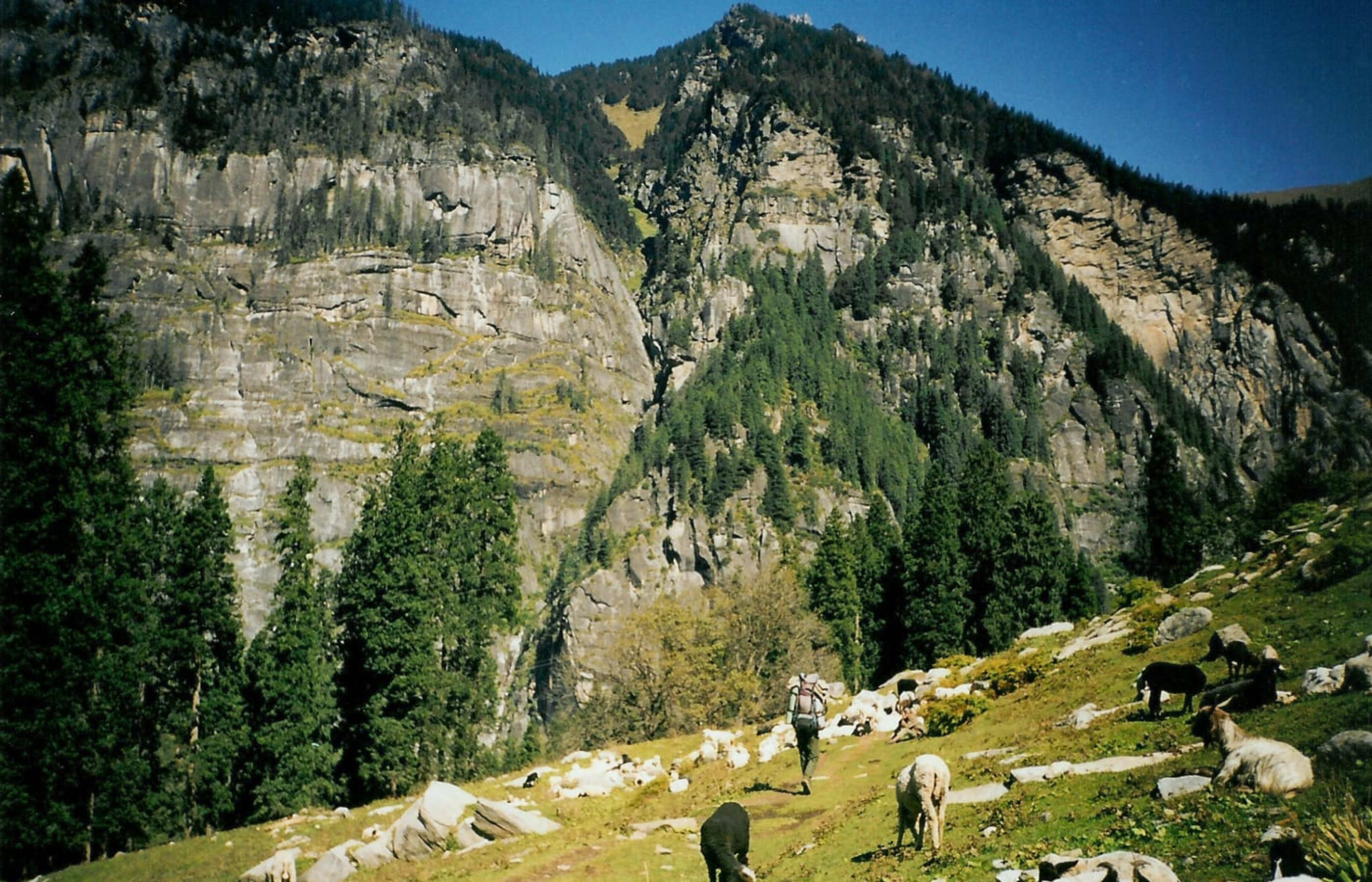 Jobra