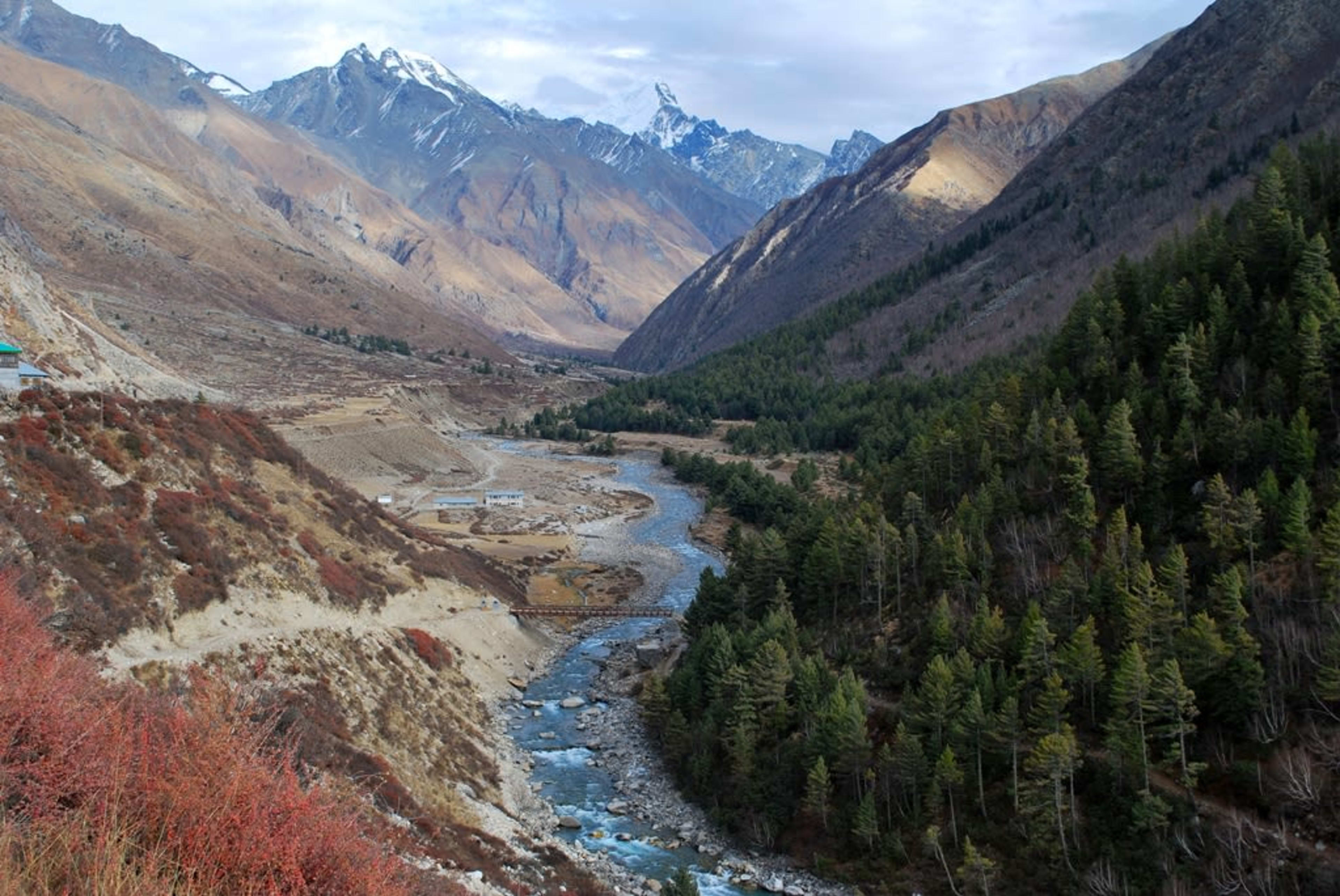 Racham, Himachal Pradesh