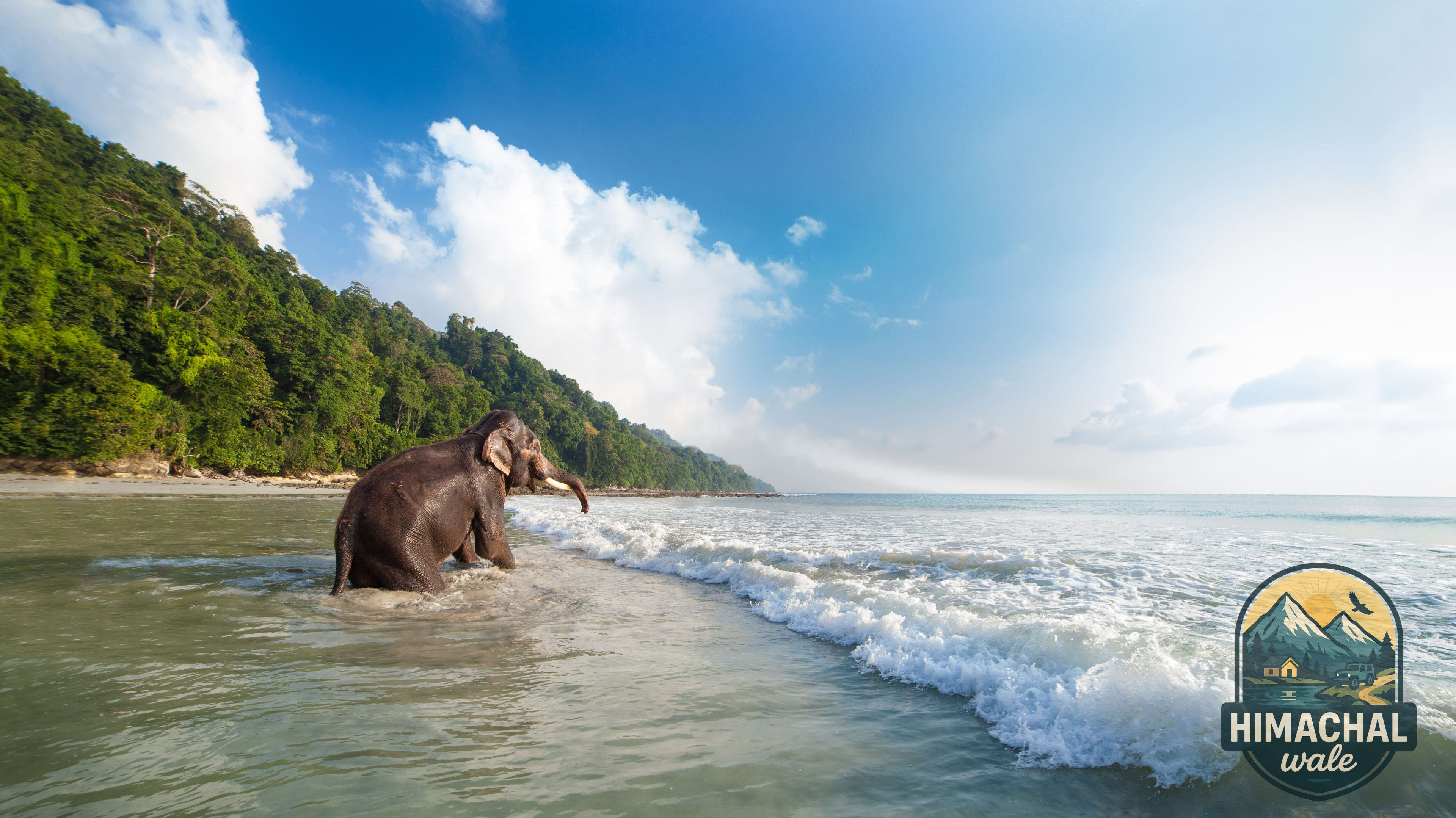 Romantic Island Honeymoon - 7 Days Andaman Tour Package