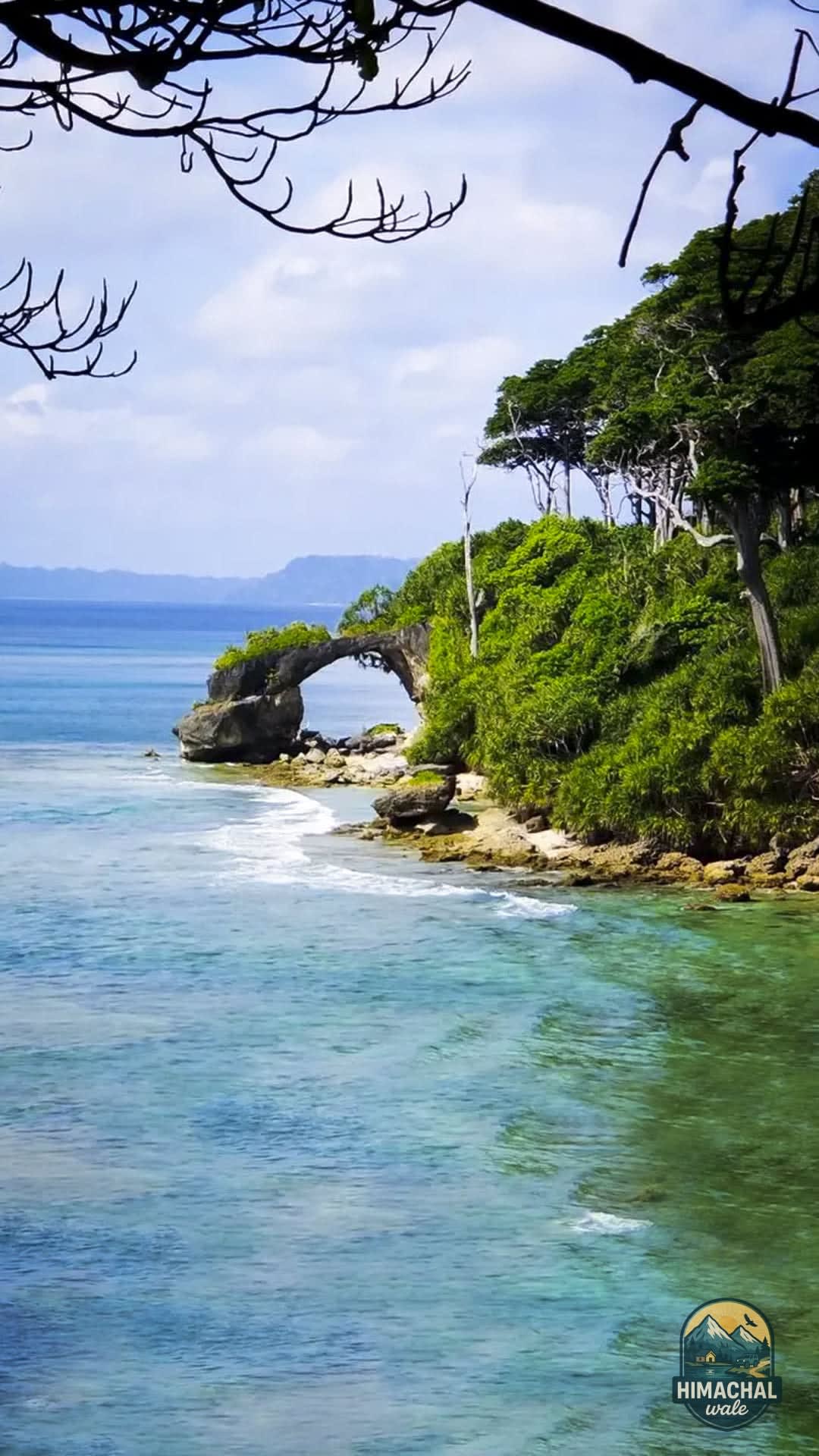 Andaman Delight