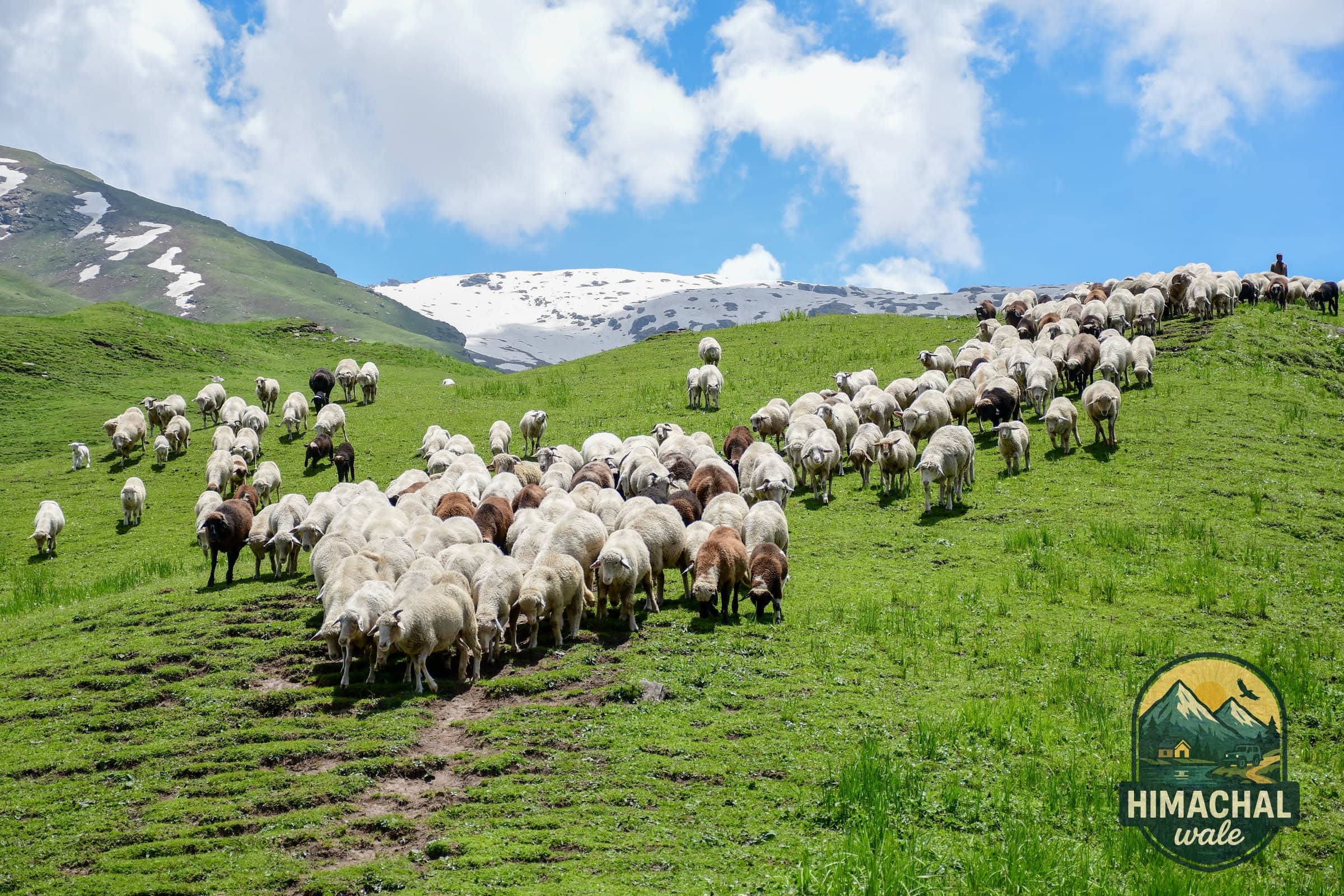 Bhrigu Lake Trek in Manali — view 3 of 3