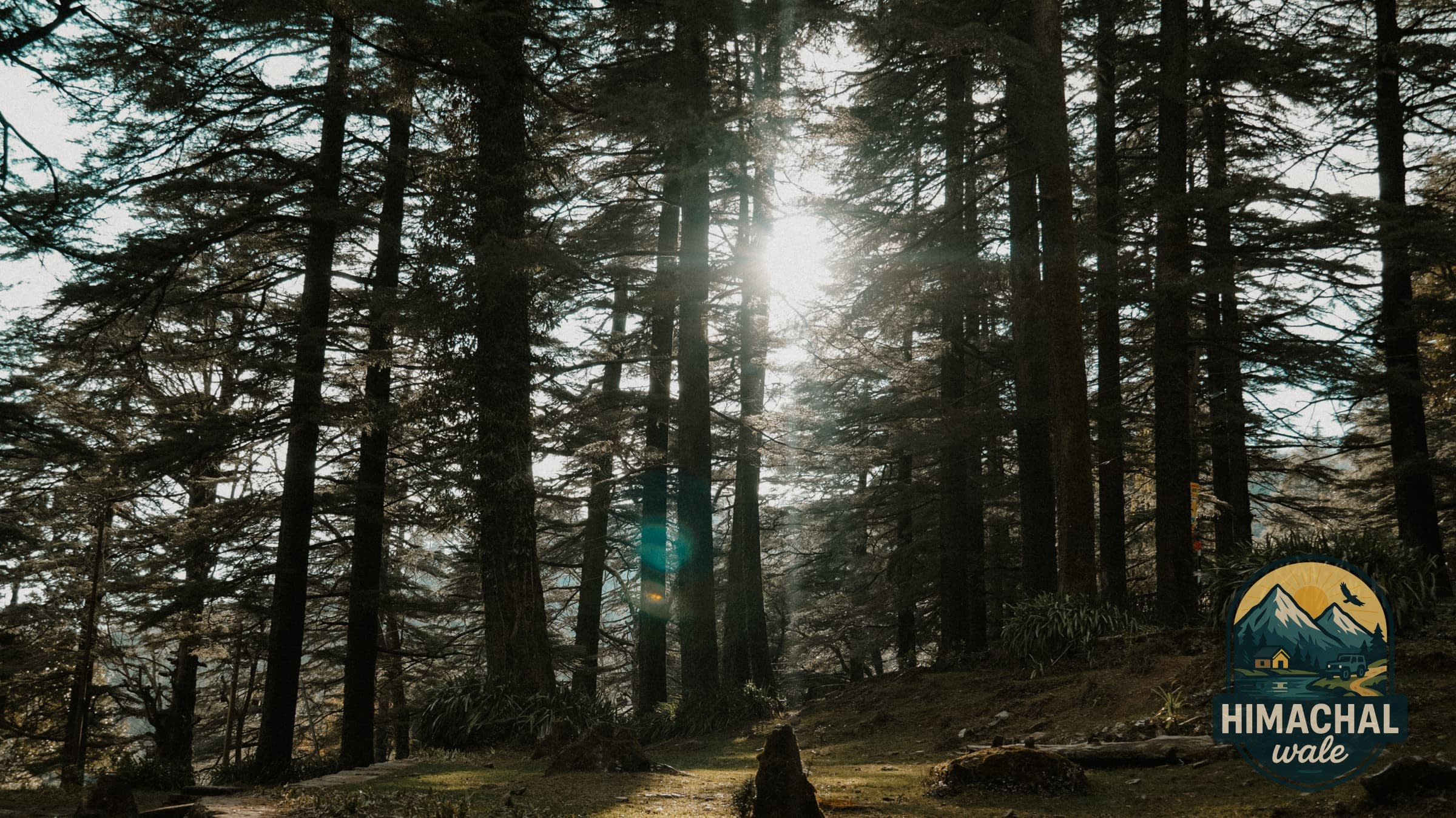 Chail Team Sports & Highland Cricket Offsite