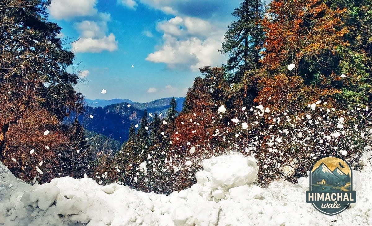 Jalori Pass Trek Image