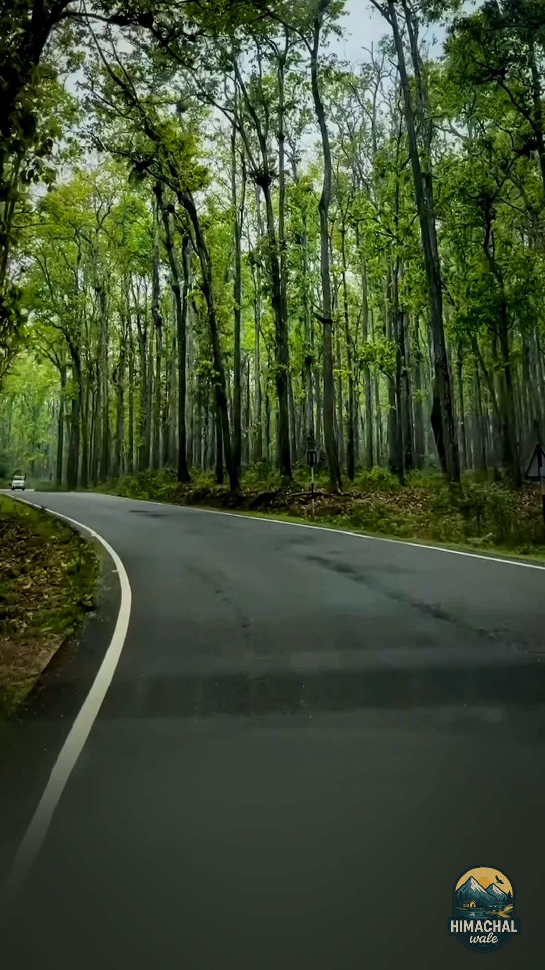 Meghalaya Road Trip