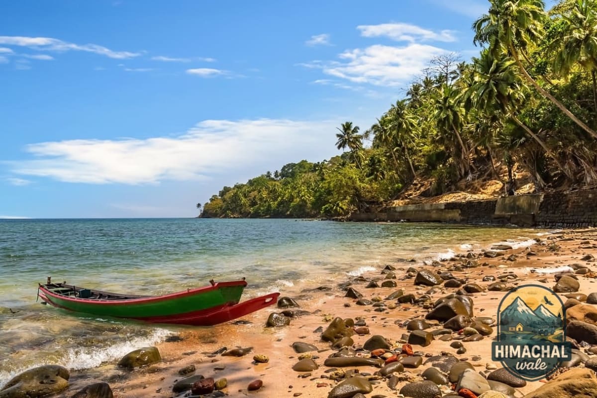 Best Food in Andaman — Seafood, Coconut, and Island Flavours