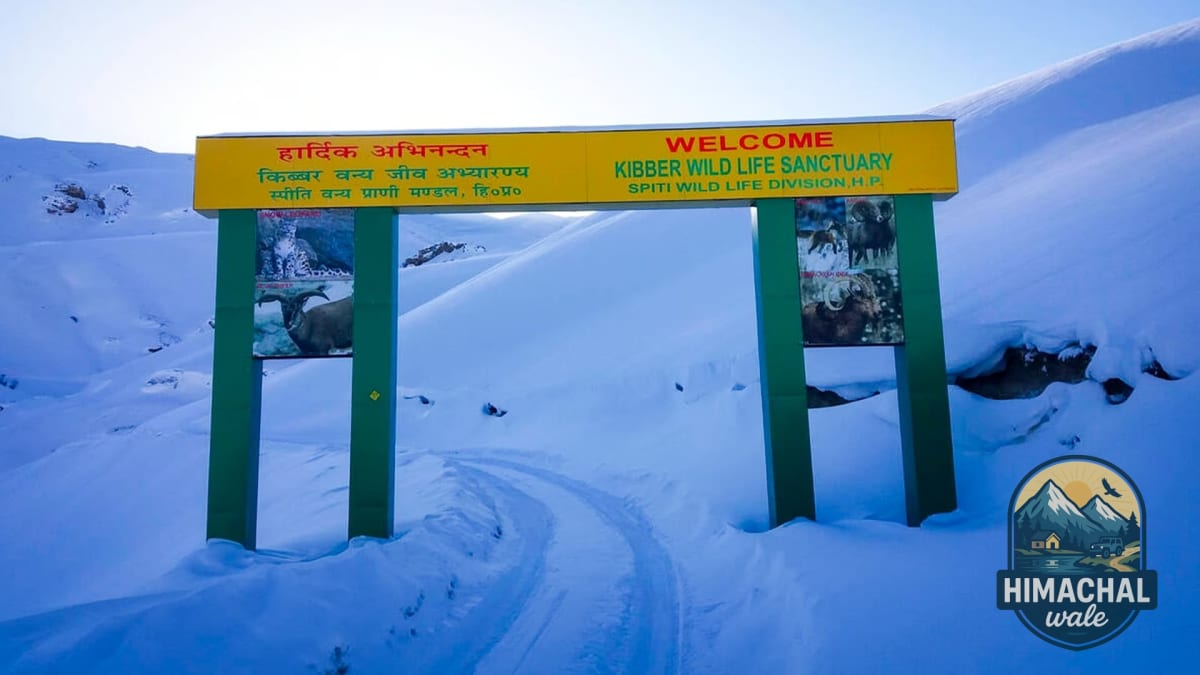 Spiti Valley Voyage for Unparalleled Thrill & Adventure