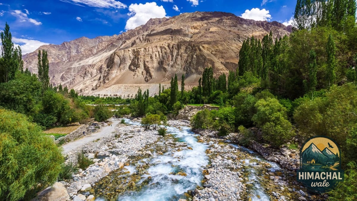 8 Days Best Luxury Trip to Ladakh: Explore Nubra, Turtuk and Pangong