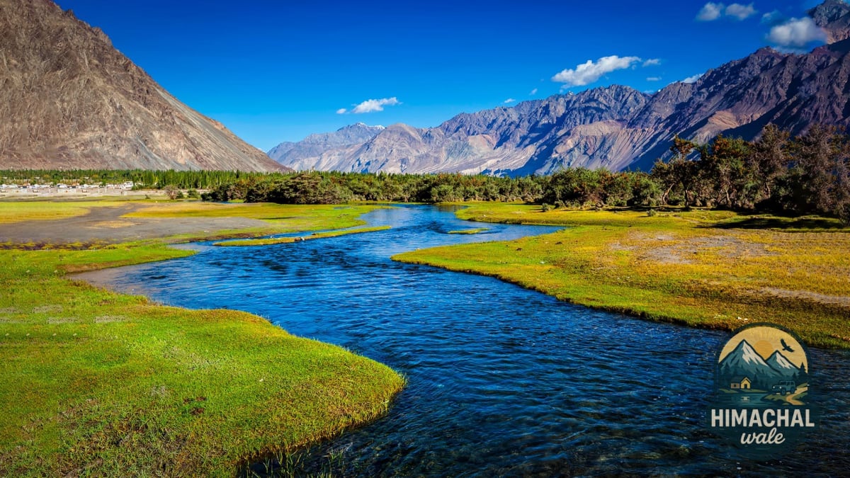8 Days Best Luxury Trip to Ladakh: Explore Nubra, Turtuk and Pangong
