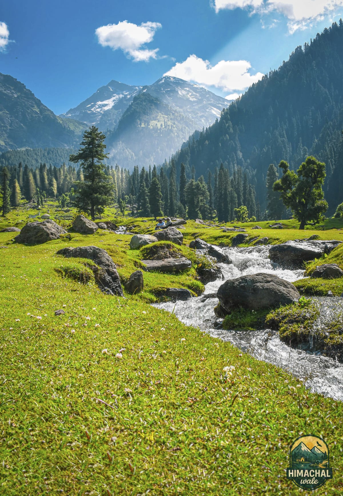 Best of Kashmir Tour Package - Sonmarg, Pahalgam, Gulmarg & Srinagar.