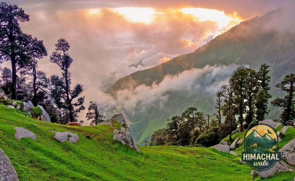 Foggy view from the top in Dalhousie