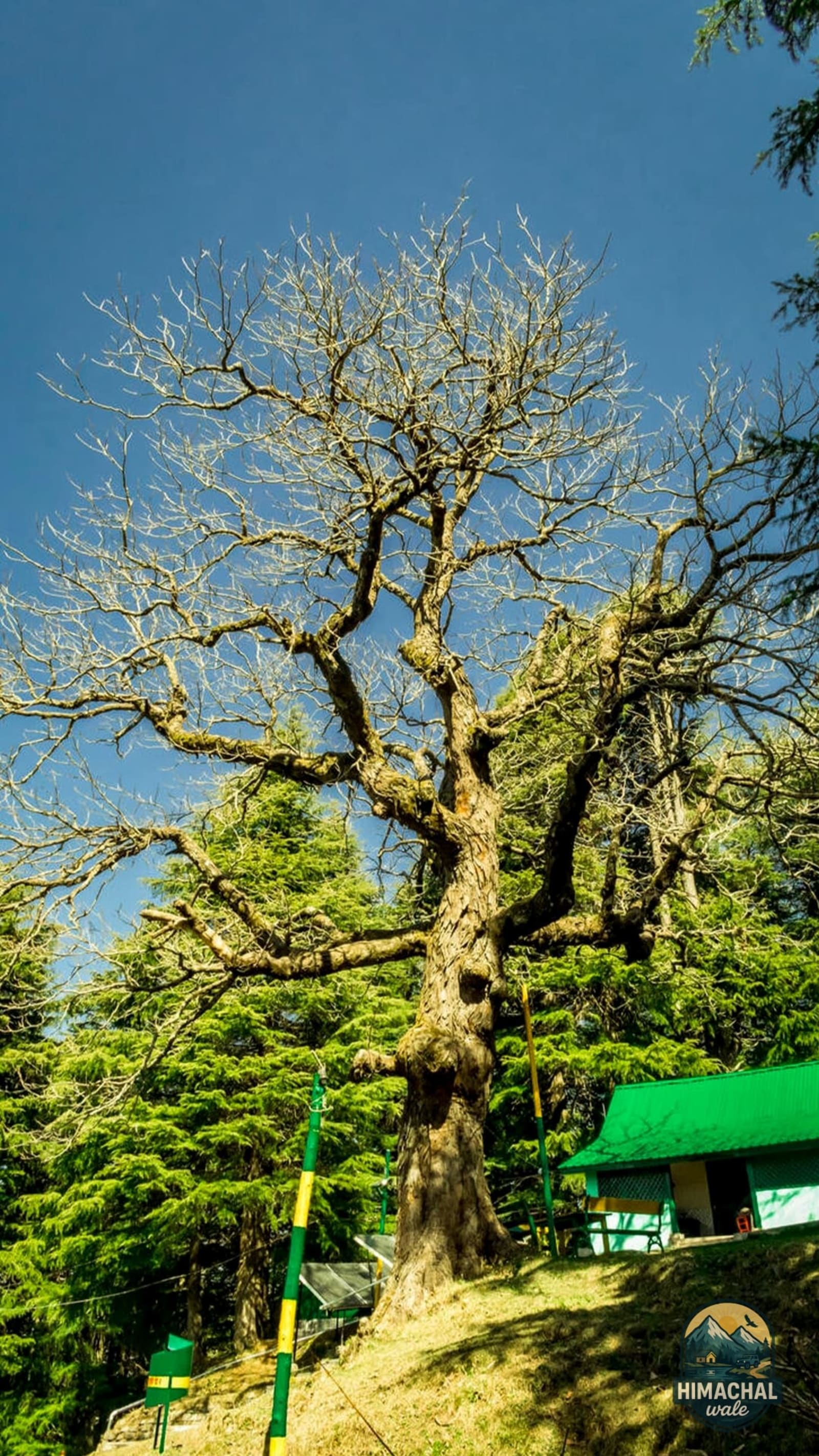 Dalhousie to Delhi — Dalhousie → Delhi (Departure Day)