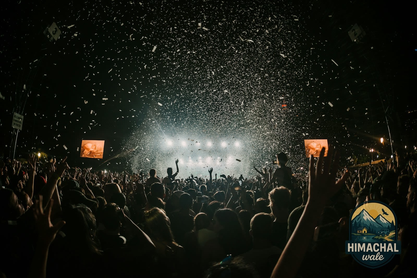 Festival Trips