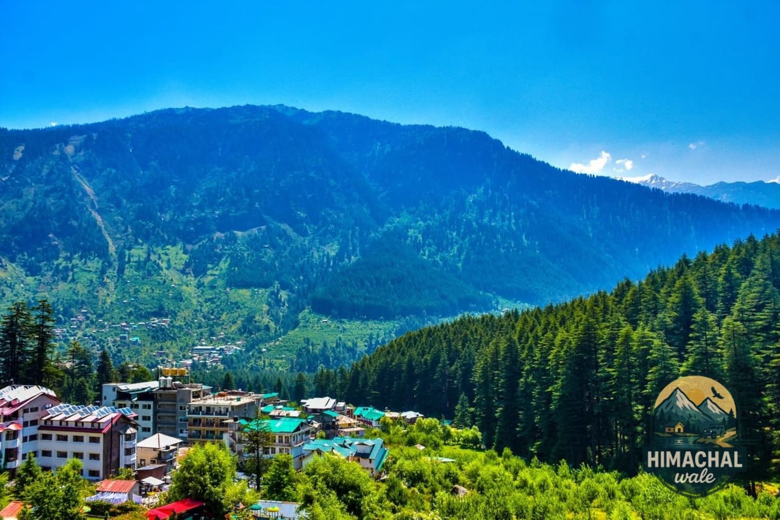 Delhi to Shimla. Start a scenic road journey