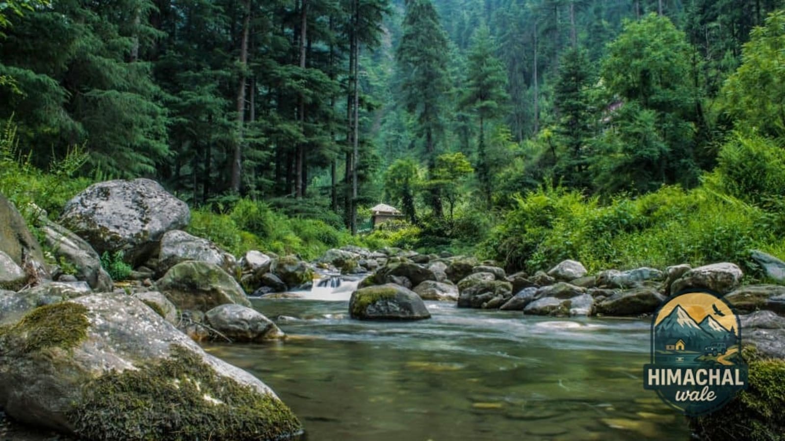 Delhi to Aut | Hit the Road Towards the Mountains of Himachal