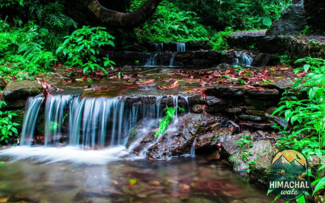 Nature Camp Offsite Tirthan Valley — itinerary includes the Tirthan Valley Local day