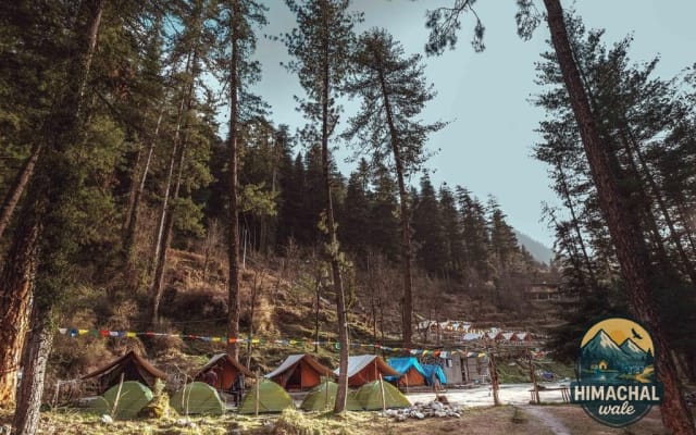 Kasol Mushroom Foraging Walk — itinerary includes the Kasol Local day