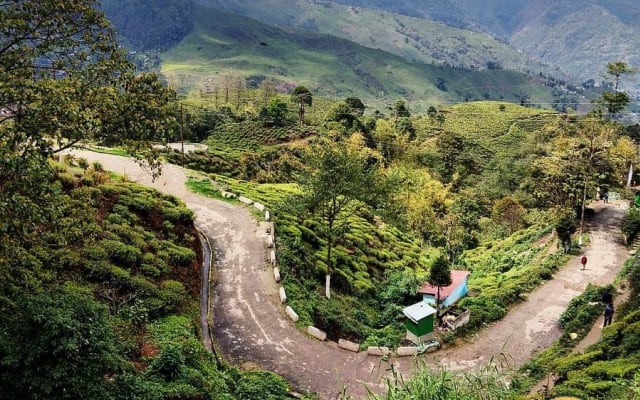 Kalpa Community Road Trip — itinerary includes the Kalpa Local day