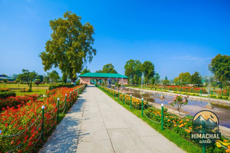 Kashmir Spring