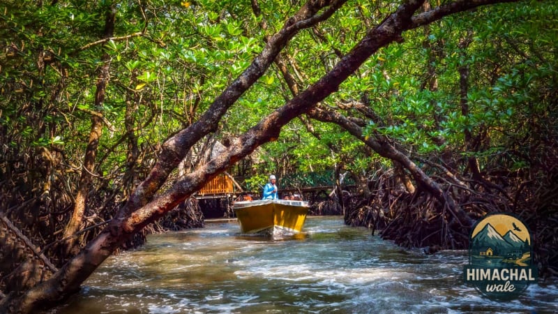 6 Days Andaman Tour Package With Neil