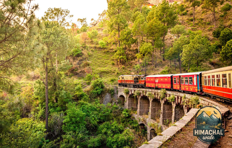Shimla-Kufri-Chail Circuit Tour