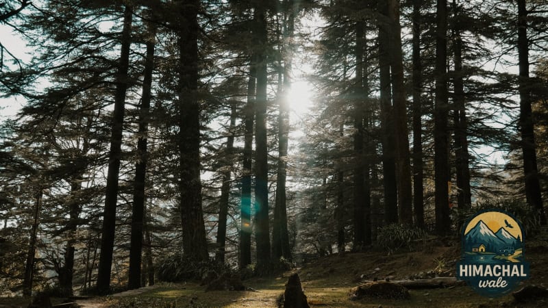 Chail Team Sports & Highland Cricket Offsite