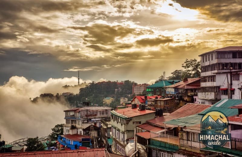 Shimla Apple Country Tour