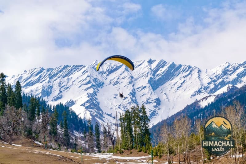 Shimla Nature & Wildlife Discovery