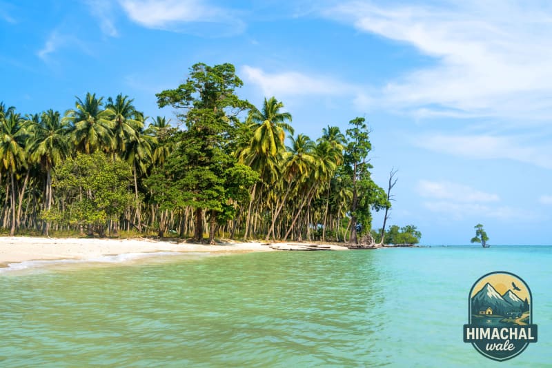 7 Days Adventure Andaman with Baratang Island