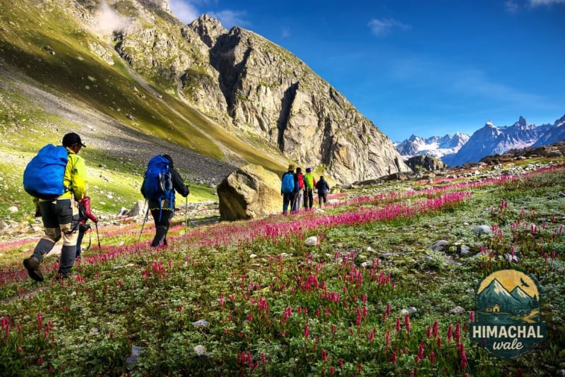 Hampta Pass Trek Image
