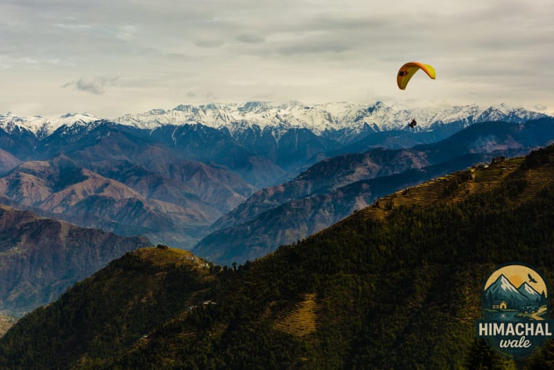Dharamshala Cricket & Culture Weekend