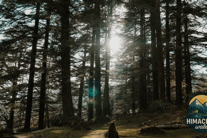 Chail Team Sports & Highland Cricket Offsite