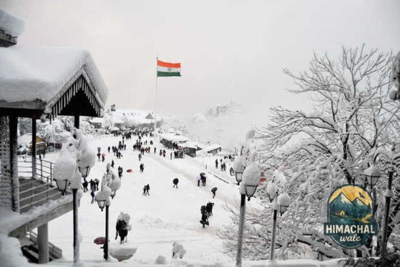 Snow-covered Shimla with pine trees