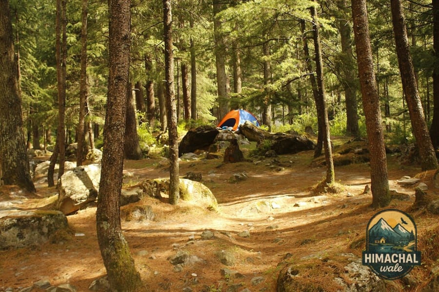 7 Best Cafes in Kasol for 2026