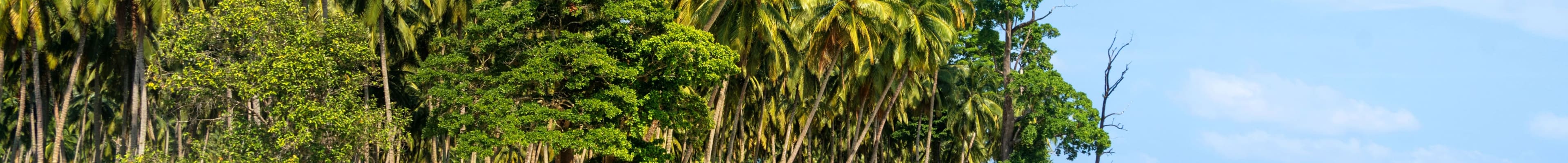 7 Days Adventure Andaman with Baratang Island — itinerary includes the Havelock Island → Neil Island 2D day