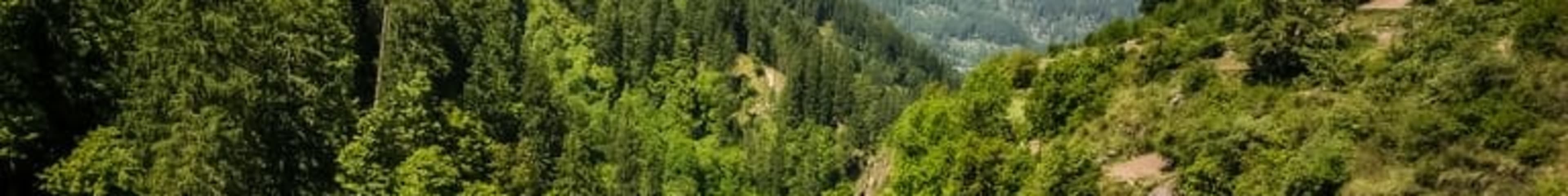 Parvati Valley — part of the Kasol / Kheerganga circuit